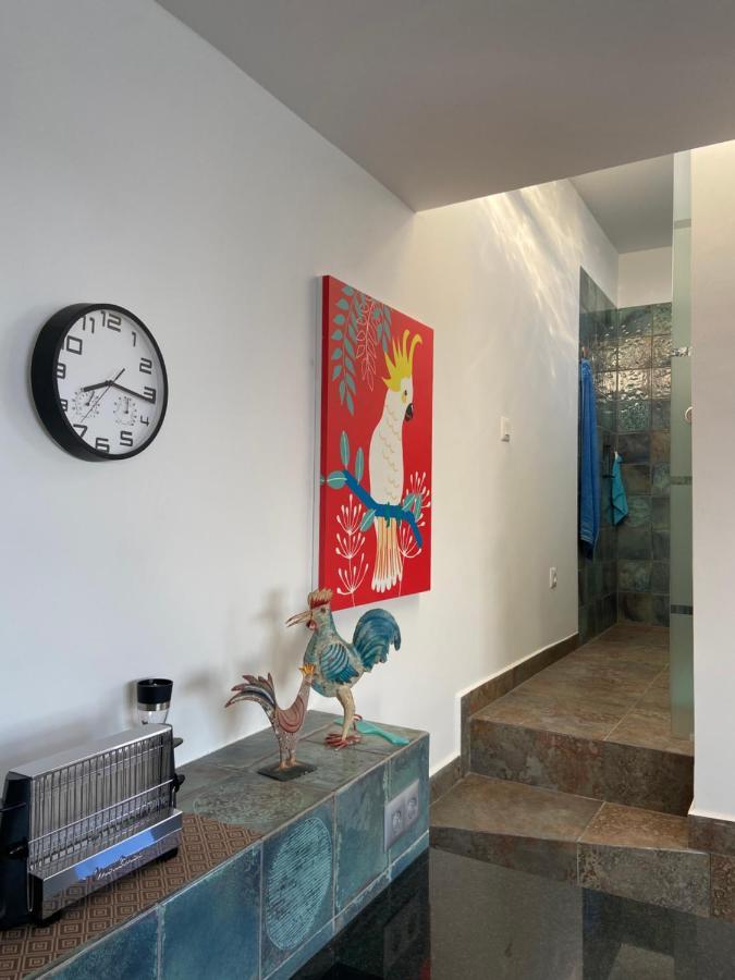 Villa Oasis La Paz - Acaymo Loft - Adults Only - Puerto de la Cruz  Exterior photo