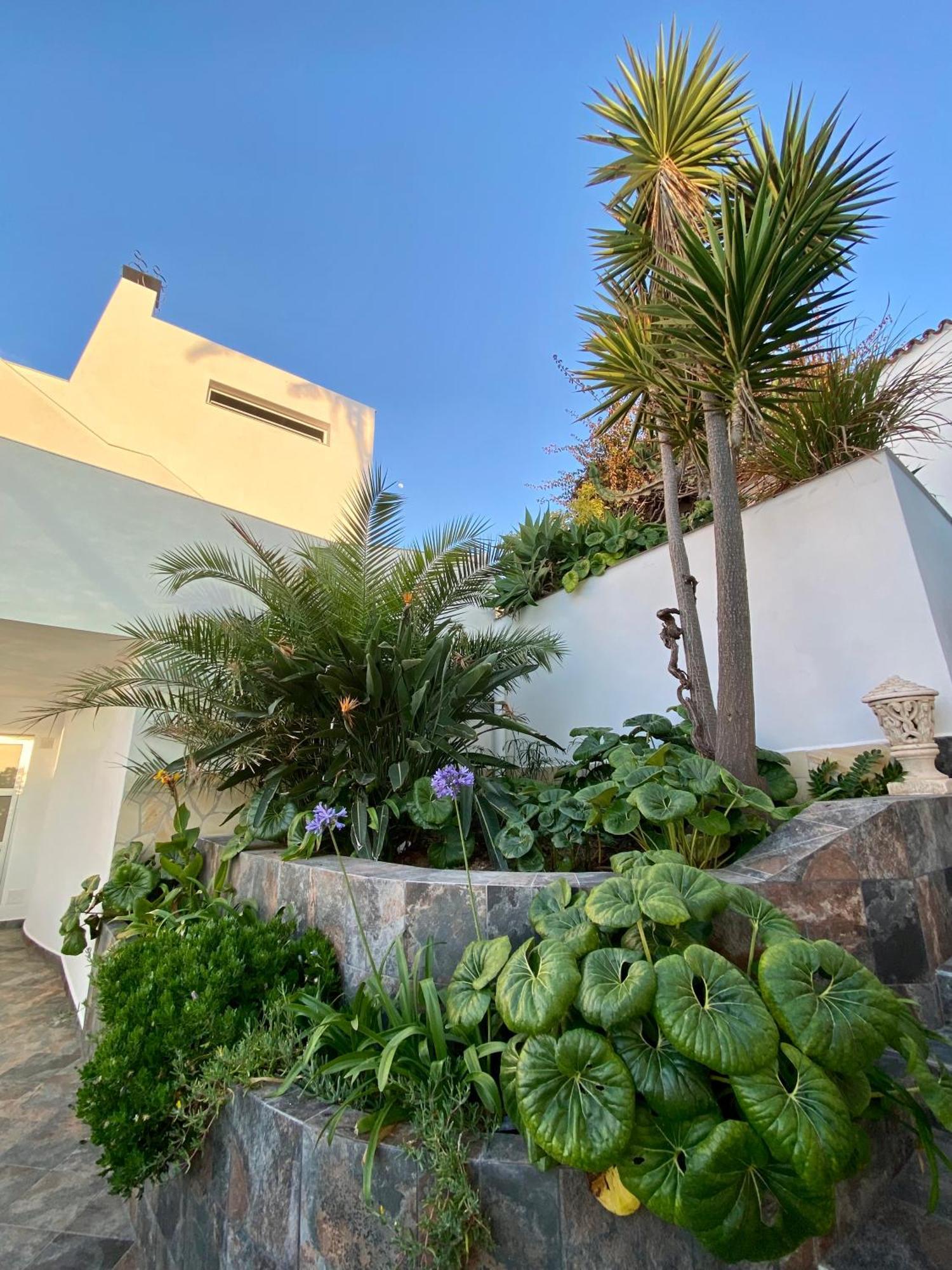 Villa Oasis La Paz - Acaymo Loft - Adults Only - Puerto de la Cruz  Exterior photo